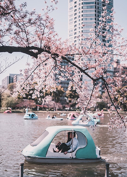 Tokio Reise